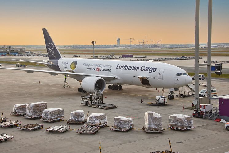 Lufthansa Cargo D-ALFF