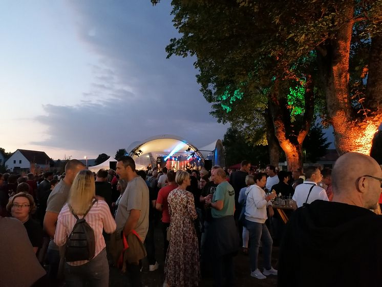 dIRE sTRATS im Emmerauenpark 2022.jpg