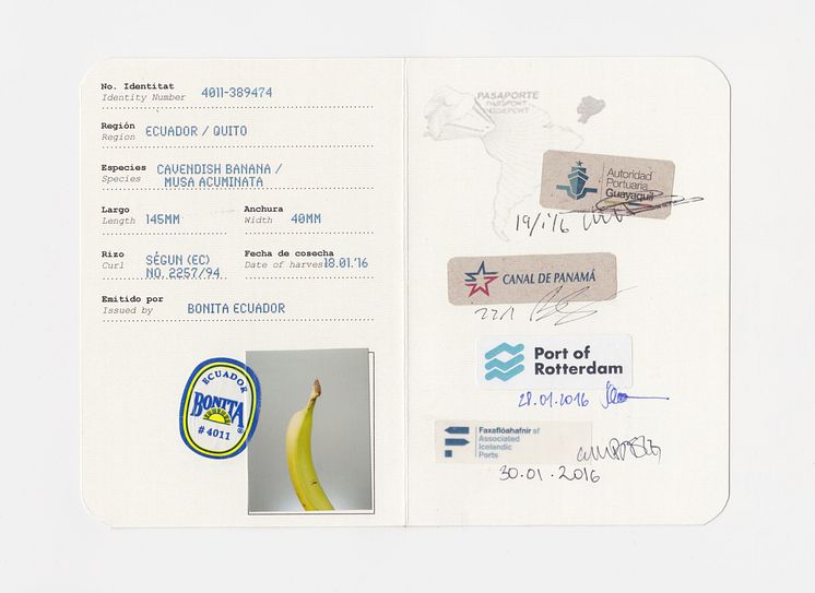 CARGO - Banana Passport