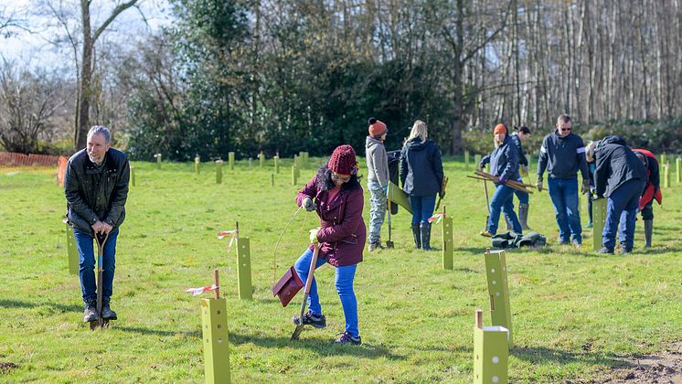 tree planting 10.jpg