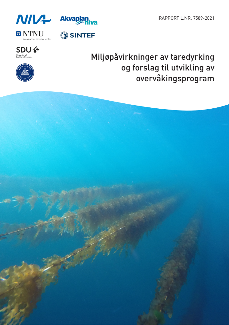 Kelppro rapport.pdf