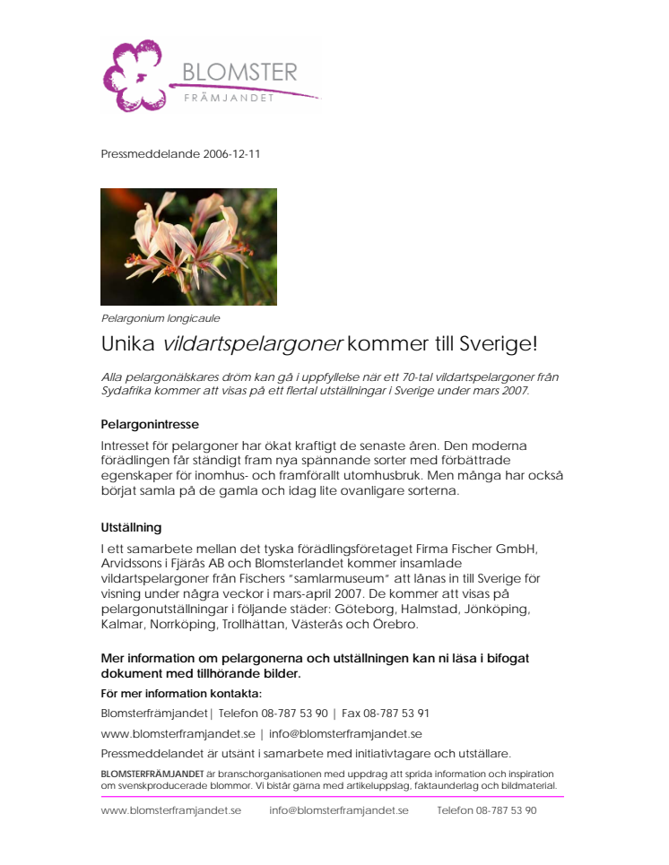 Unika vildartspelargoner kommer till Sverige!