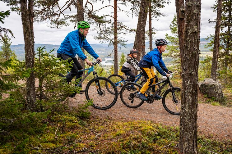 Cykling längs niporna