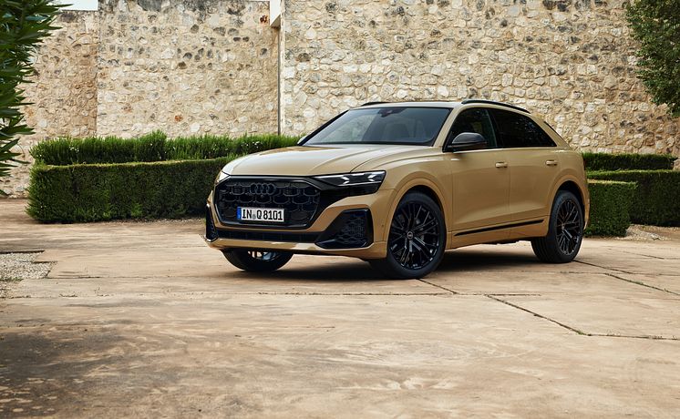 Audi Q8 (Sakhirguld)