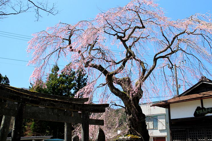 Kokuzoson temple