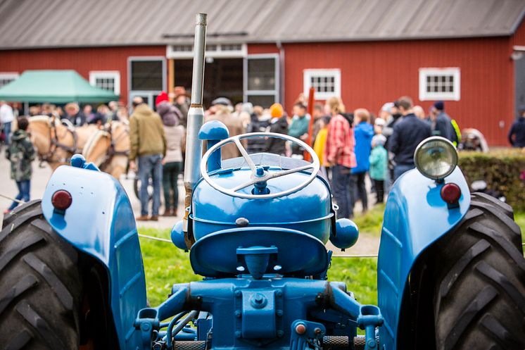 Se veterantraktorer och moderna lantbruksmaskiner