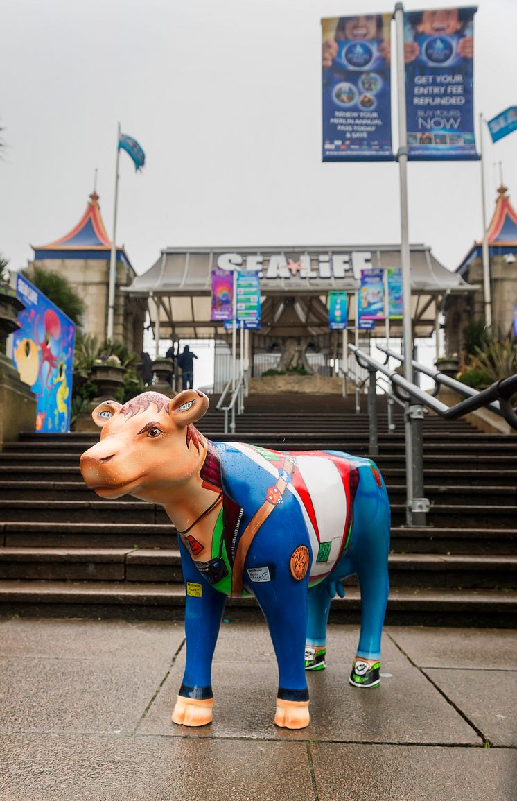 Cow-respondent travels on Thameslink