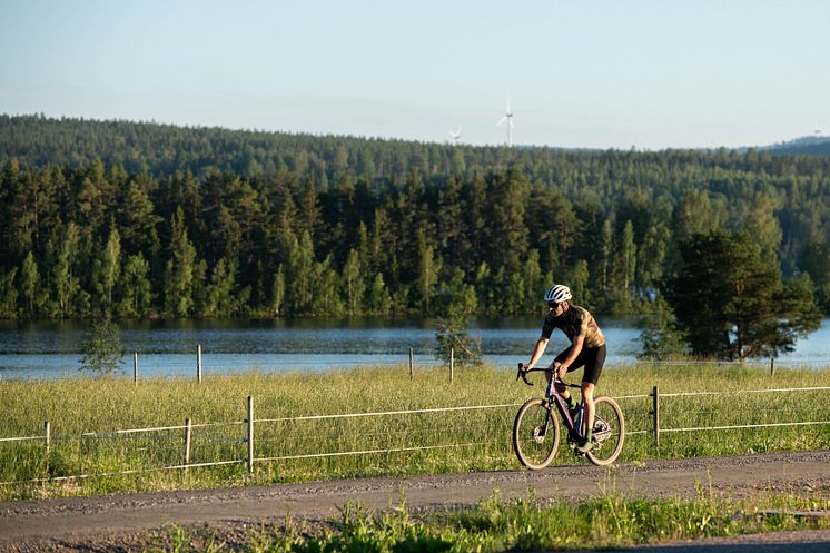 Camp Järvsö. Foto Daniel Breece