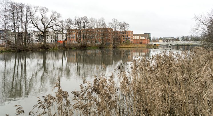 Tomtvy mot Sågverksgatan, Brf Åstråket, Eskilstuna