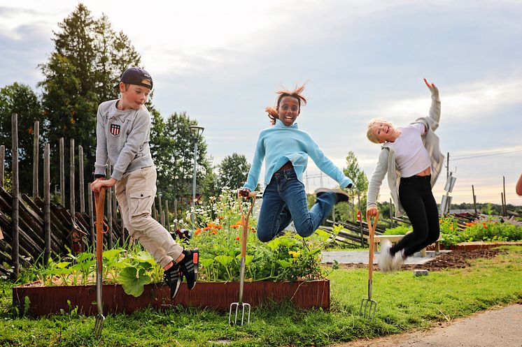 Nordy Skolehage Foto Eva Birgitta Hollander Heia Folk