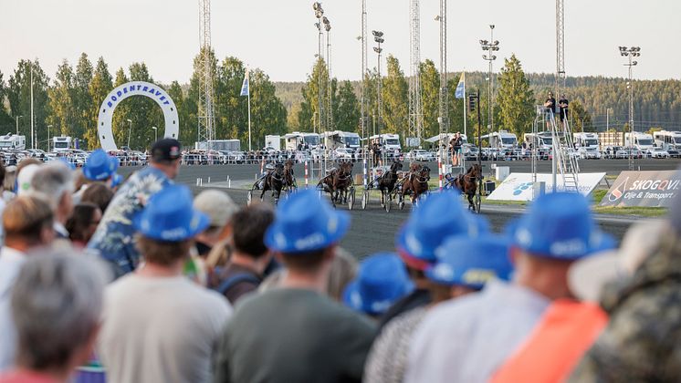 Publik på Bodentravet