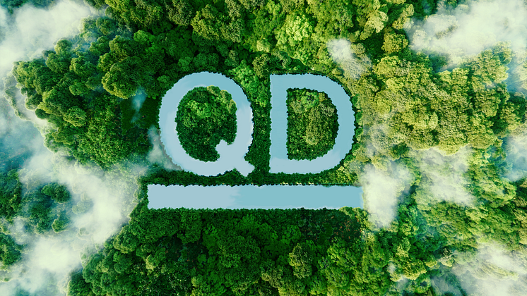 QD-Regnskog-logo 16-9