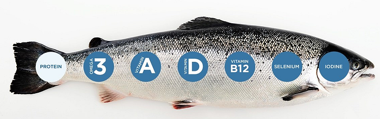 info nutritiva salmon