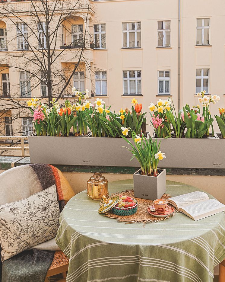 Willkommen, lieber Frühling!