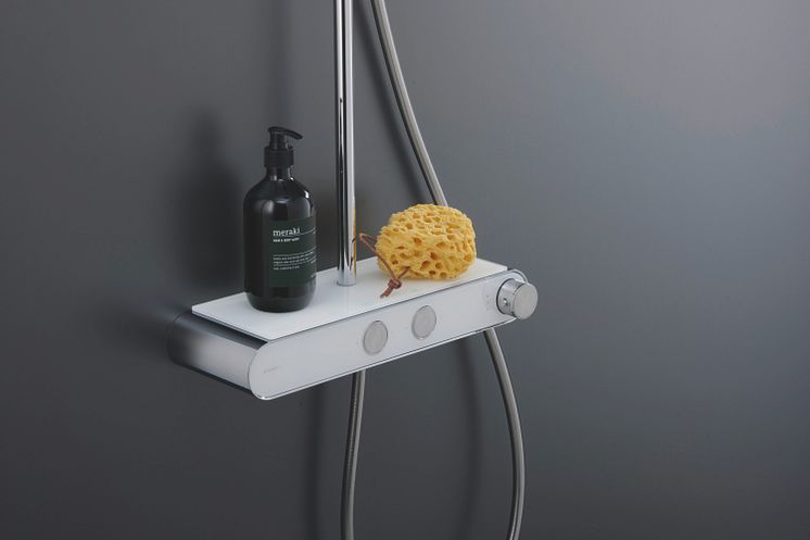 Shower System