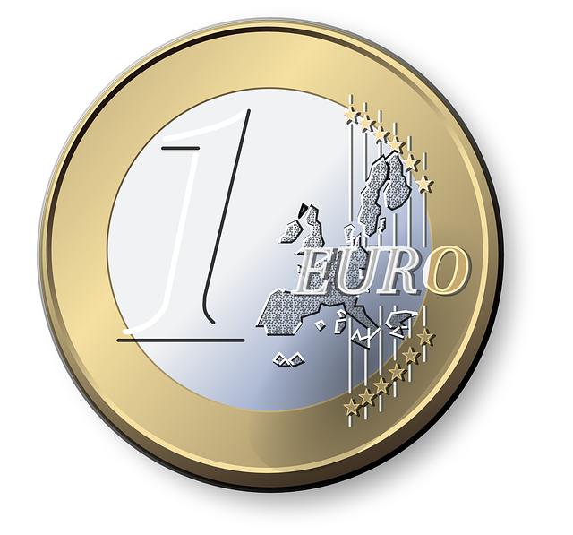 Euro mynt