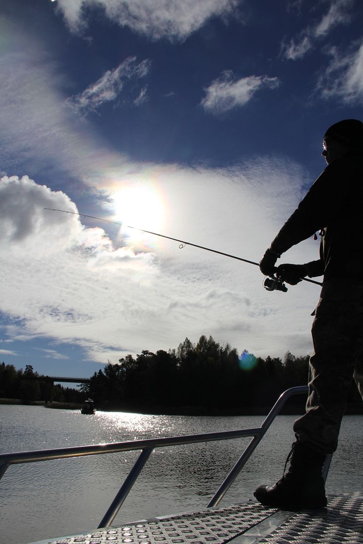 Fiske i solen