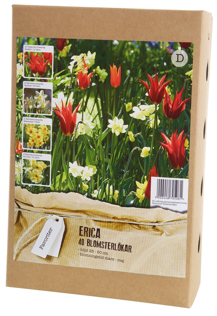 Blomsterlök vårblommande lökblandning