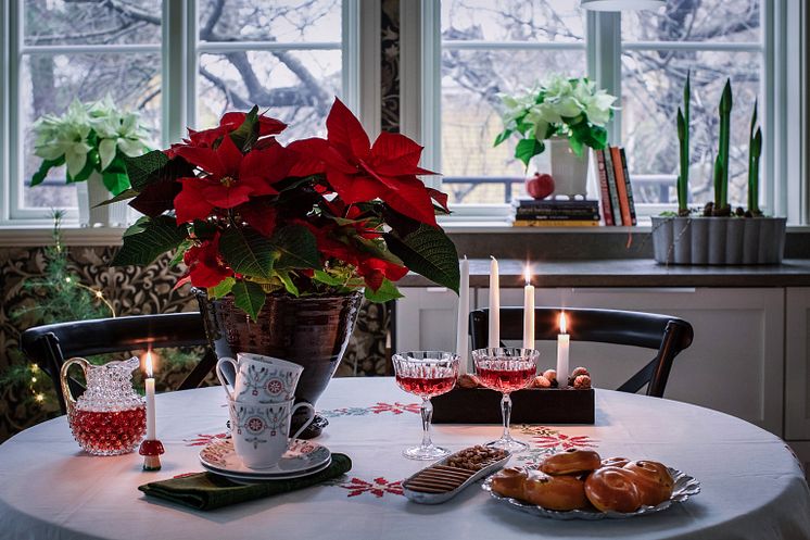 7. Julstämning med stjärnor tolkat av Åsa Myrberg, atmycasa