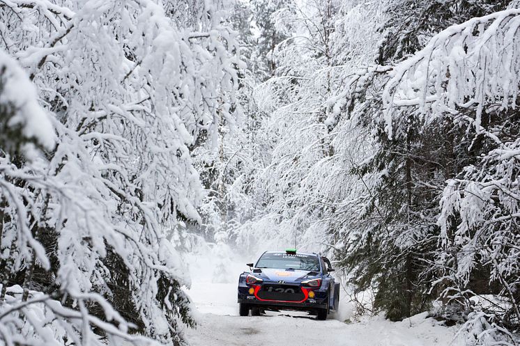 Hyundai Motorsport laddar för revansch i Rally Sweden.