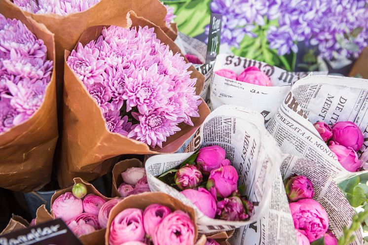 Allt från frön och sticklingar till blommor och krukväxter hittar du på marknaden