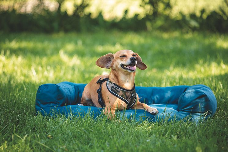 ArkenZoo_Basic Summer lounger bed_lifestyle_2.jpg