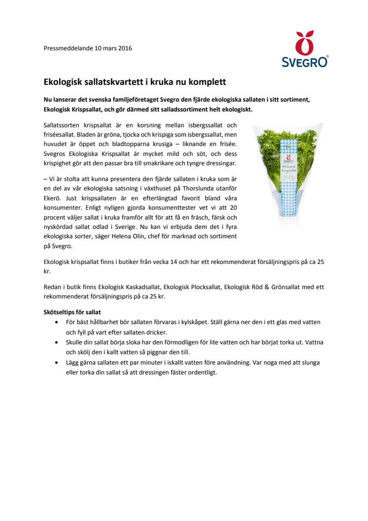 Ekologisk sallatskvartett i kruka nu komplett