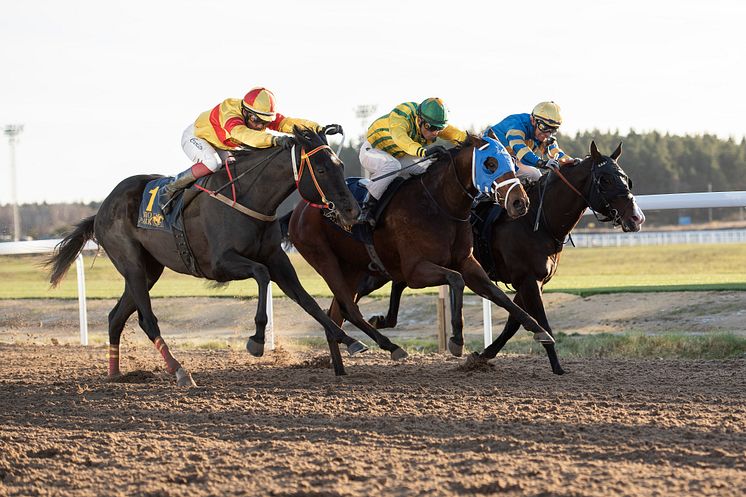 Bro Park 3 Elina Björklund Svensk Galopp