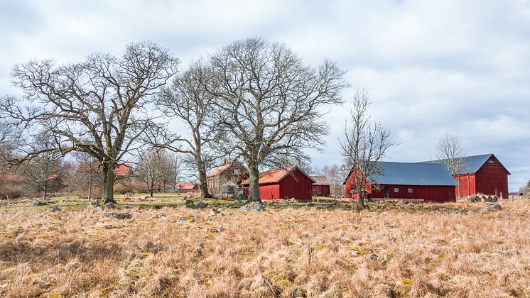 Fyra projekt beviljas medel inom den regionala utlysningen