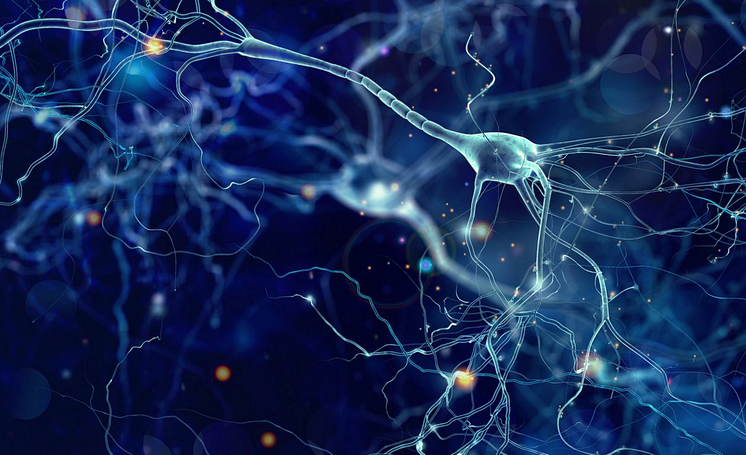 neurons-cells-concept-1_Large