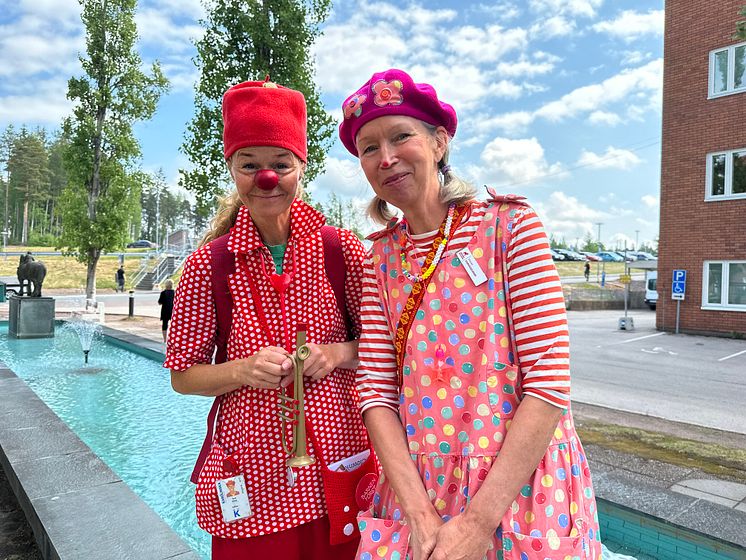 Clownkåren i Dalarna