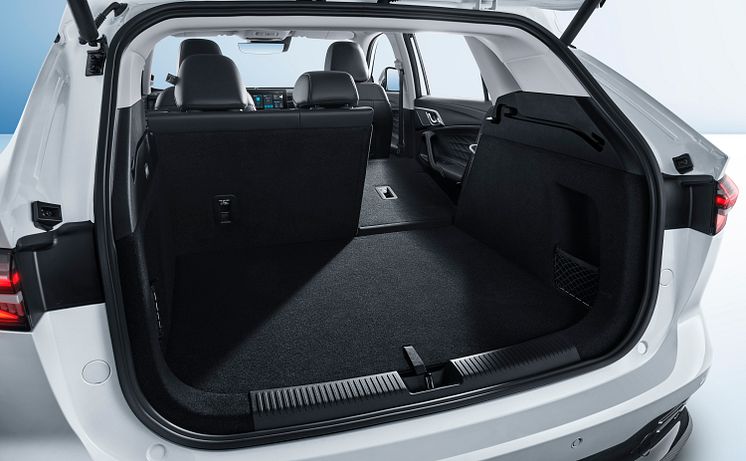 Trunk-3.jpg