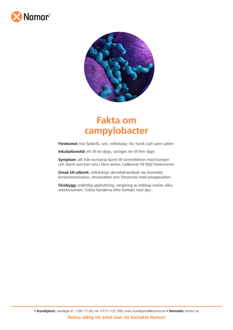 Fakta om campylobacter