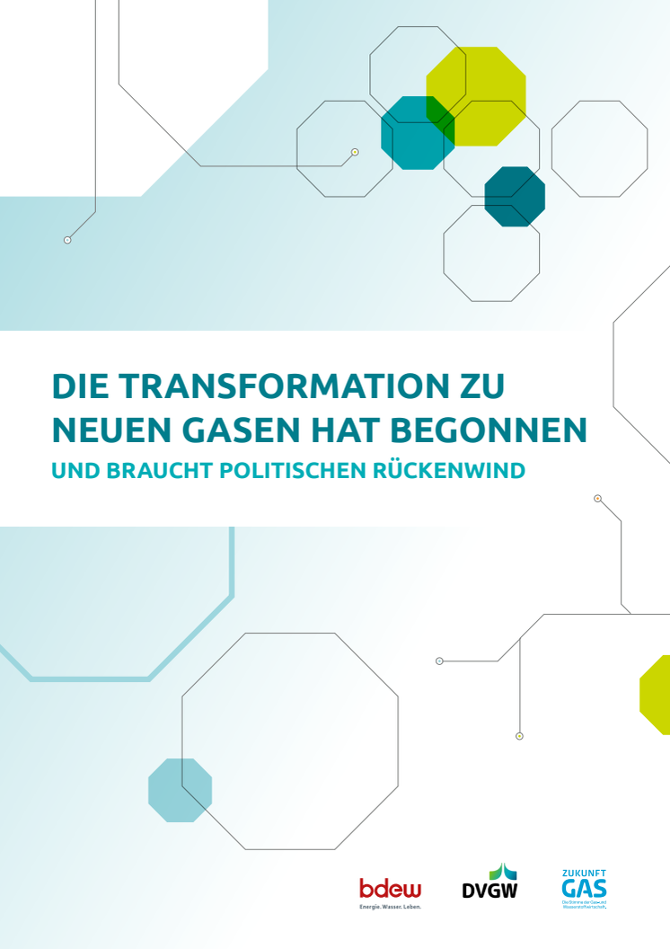 Positionspapier_Transformationspfad Neue Gase.pdf