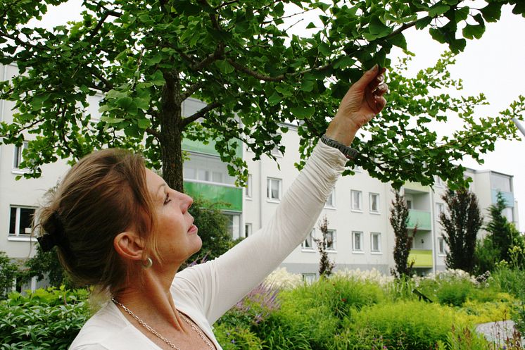 Marie Werner, Värdens Park, Backa Röd