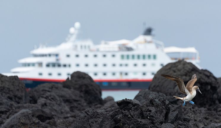 Galapagos-Floreana-Island-HGR-152482- Photo_John_Chardine