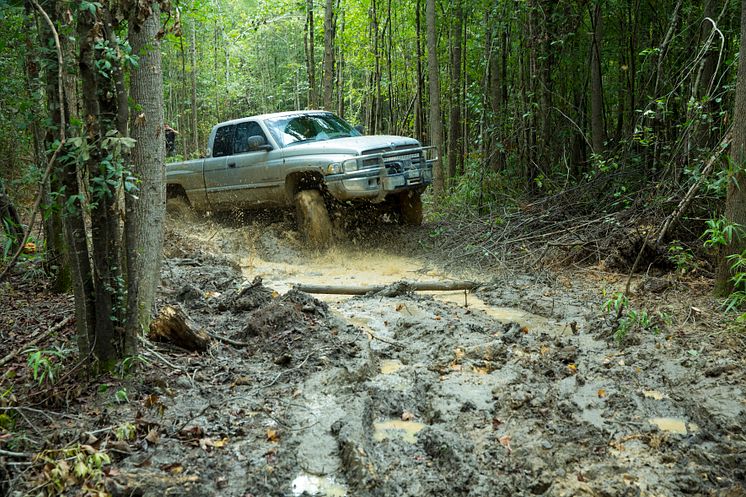 Truck Night in America