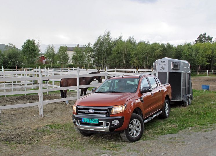 Nye Ford Ranger - med sin klasseledende tilhengerkapasitet - er et godt egnet kjøretøy for hesteeiere.