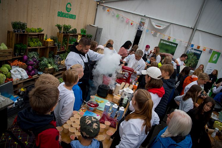 190902-matfest129_48683308721_o