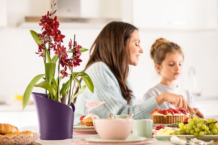 Eine ganze Familie zum Muttertag