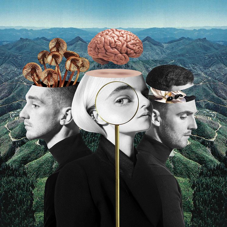 Clean Bandit - What Is Love artwork