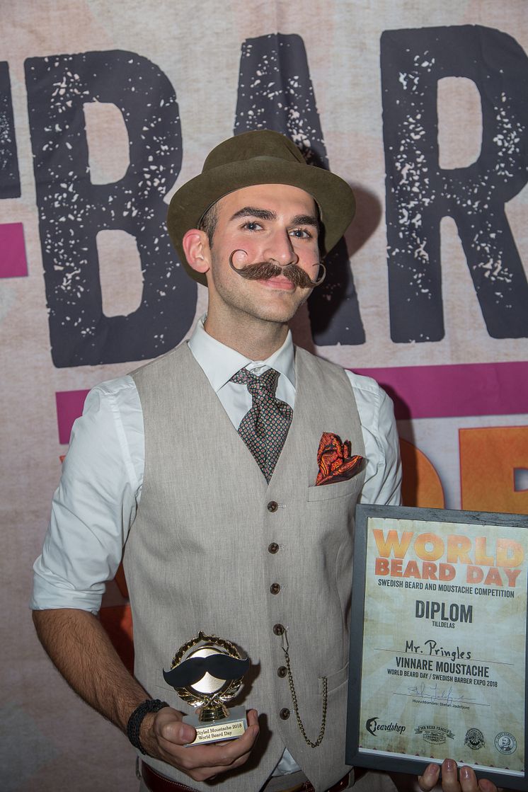 Mr Pringles (Hamidreza Ardalan), Best Moustache 2018