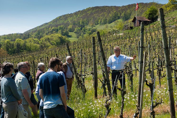 Tag der offenen Weinkeller in der Schweiz
