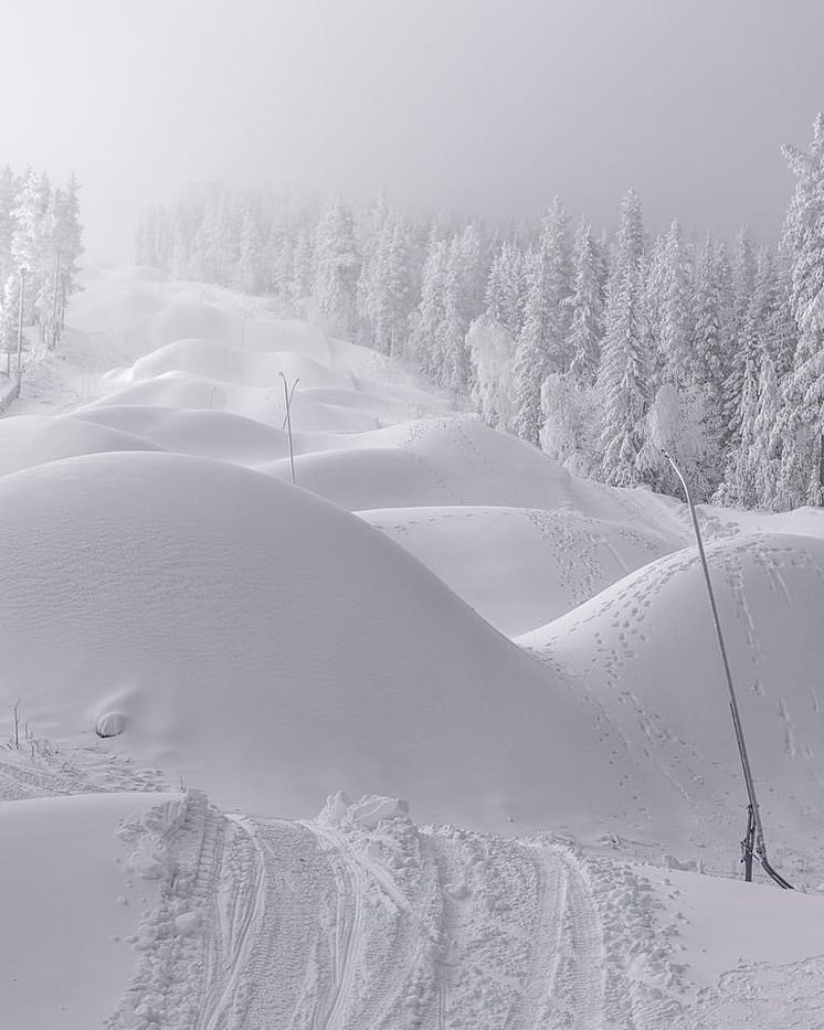 Snöläggning Björnrike