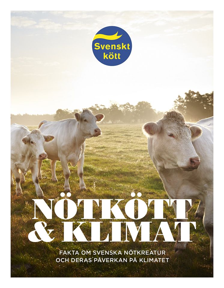 Nötkött och klimat - fakta om svenska nötkreatur och deras påverkan på klimatet.