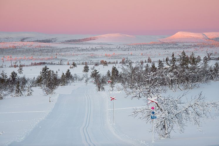 Lofsdalen utsedd till Bästa Fjälldestination