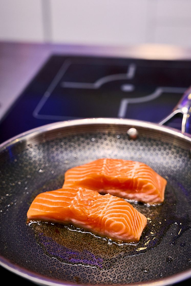 09 Fjort trout.jpg