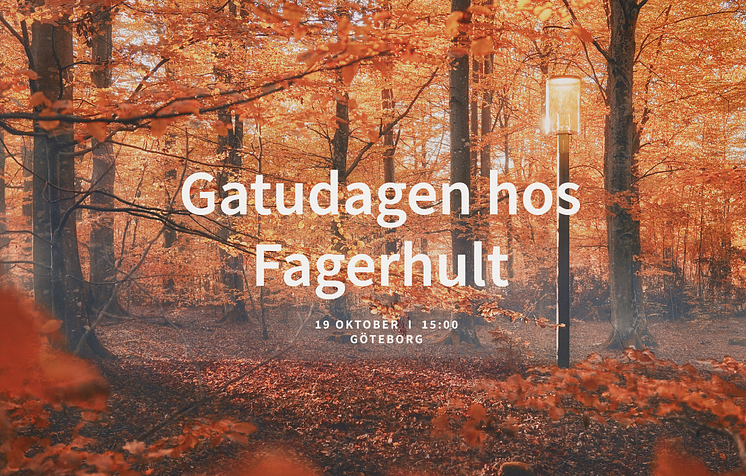 Gatudagen Fagerhult 19 oktober 