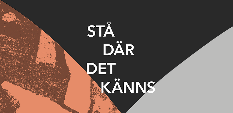 SDDK_BANNER_MED RUBRIK