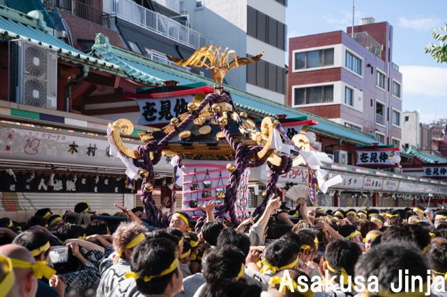 Sanja Matsuri(1)